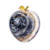 Picture of Royal Blue Onyx Decorative Apple – A Masterpiece of Natural Elegance and Artistic Luxury